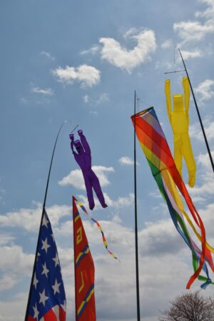 Kite Flite 2026 (19)